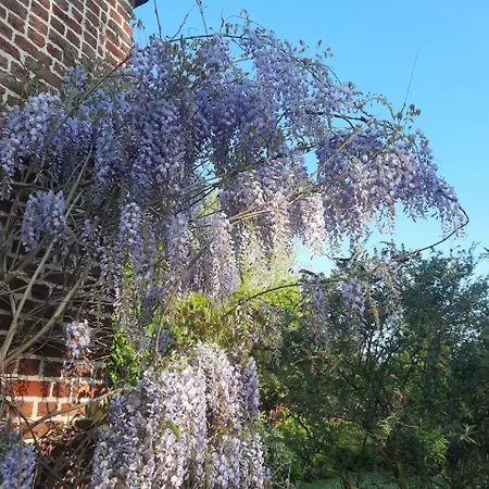 Domaine Des Hydrangeas * Rumegies